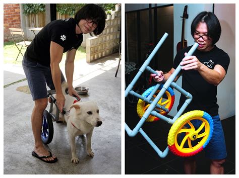 DIY wheelchair gives disabled dogs a new lease on life | Options, The Edge