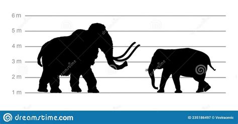 Mammoth Vs Elephant: A Comprehensive Comparison Of Them