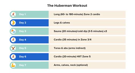 Andrew Huberman’s Fitness Routine: Live Longer and Build Muscle