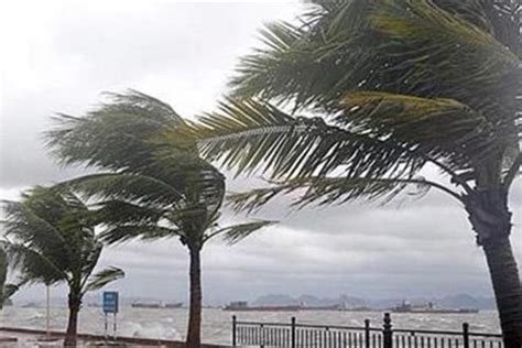 Mozambique: Cyclone Eloise leaves destruction behind - Timeturk Haber