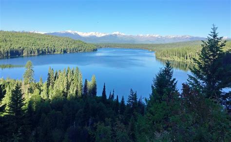 Flathead National Forest