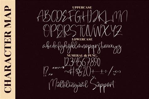 Brilliant Signature Font Family · 1001 Fonts