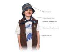 29 Best Beaver Scouts ideas | beaver scouts, beaver, activities