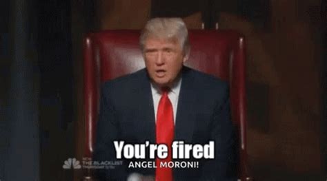 Donald Trump You Re Fired Meme GIFs | Tenor