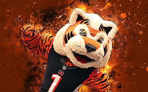 Roar, bengals, cincinnati, who dey, HD wallpaper | Peakpx