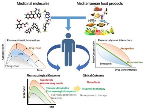 Applied Sciences | Free Full-Text | Drug-Food Interactions with a Focus ...