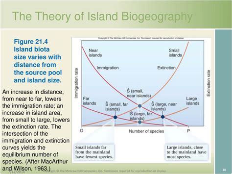 PPT - CHAPTER 21 Island Biogeography Prepared by Peter Stiling University of South Florida ...