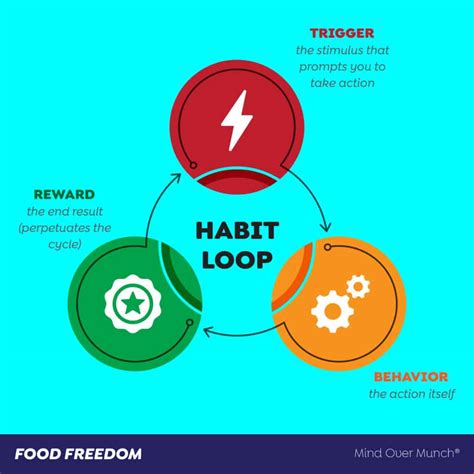 The Habit Loop & Neuroplasticity - Mind Over Munch