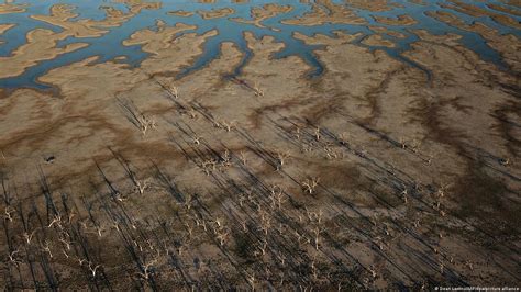 Climate: El Nino pattern returns, extreme conditions feared – DW – 06 ...