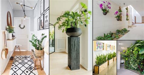 30 Mesmerizing Corridor Decoration Ideas With Plants