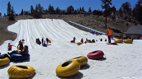 8 Best Places for Children to Enjoy Snow in Southern California ...