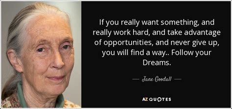 Jane Goodall quote: If you really want something, and really work hard, and...