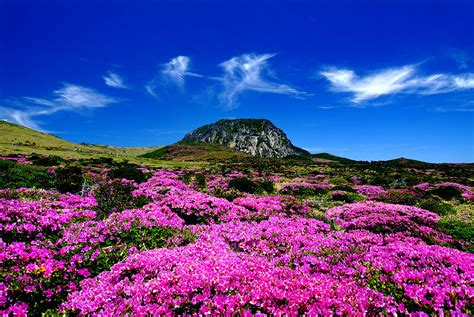 Hiking Mt Hallasan - Jeju Island, South Korea - Fork and Foot