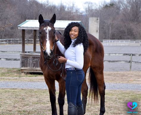 Friendly & Fun: 4 Best Horse Breeds for Beginners - Horse Rookie