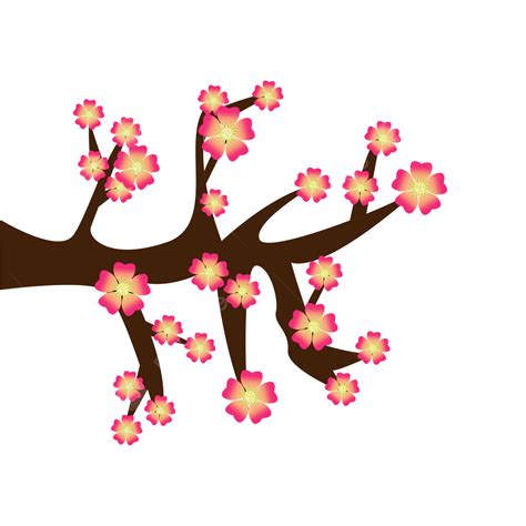 Hoa Mai Flower PNG, Vector, PSD, and Clipart With Transparent Background for Free Download | Pngtree