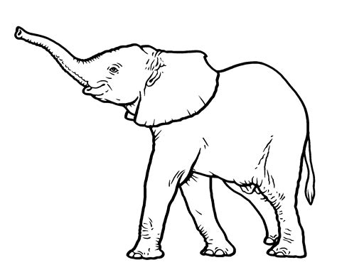 Elephant Icon Clipart Best - vrogue.co