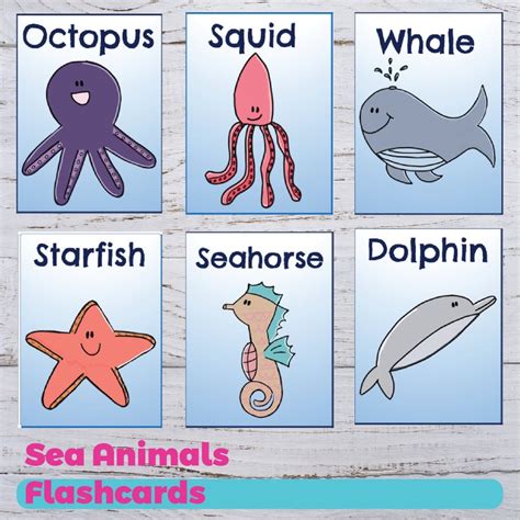 Sea Animals Flashcards Sea Animals Ocean Animals | Etsy