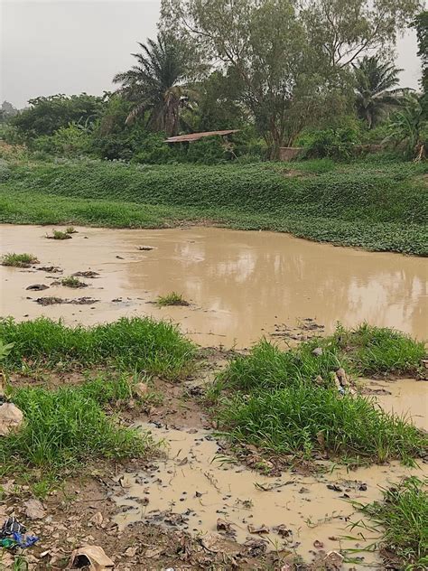 Residents raise alarm as Osun River changes colour - Daily Post Nigeria