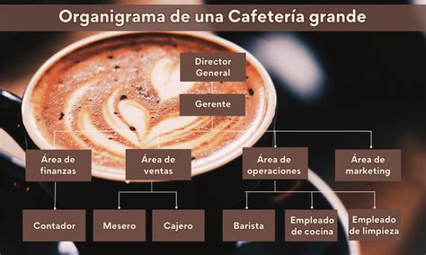 Organigrama de una Cafetería: Funciones y Ejemplos