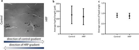 Response of wild type F. graminearum towards HRP in chemotropism plate... | Download Scientific ...