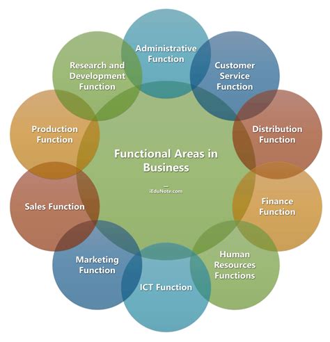 Functional Areas of Business | Finance function, Customer development ...