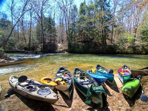 Bankhead National Forest: One of the Southeast's Outdoor Gems ...