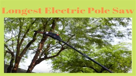 What Is The Longest Electric Pole Saw You Can Buy? Top Picks For Extended Reach In Tree Trimming ...