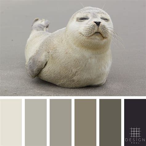 Seal Color Palette | Color schemes colour palettes, Pool colors, Color ...