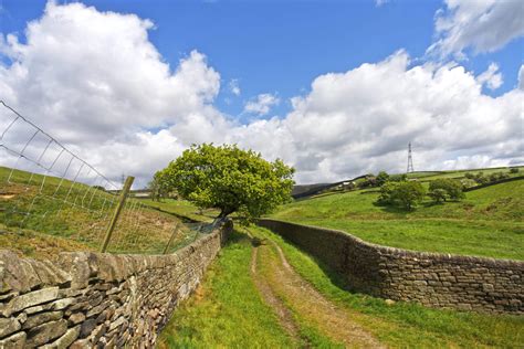 Yorkshire Day (1st August) | Days Of The Year