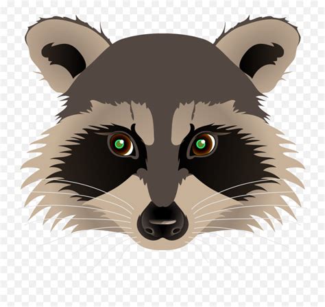 Raccoon Face Png Picture 1912655 Raccoon Face Png - Drawing Raccoon ...