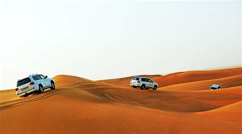 Desert Safari Tour in Ras al Khaimah 2024