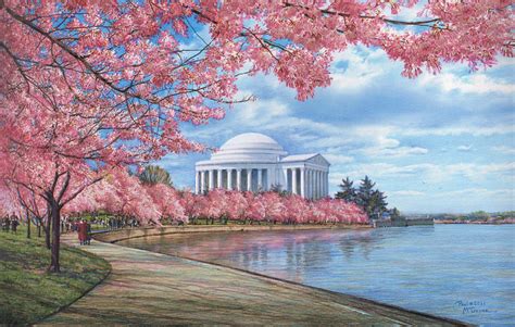 Jefferson Memorial Cherry Blossoms