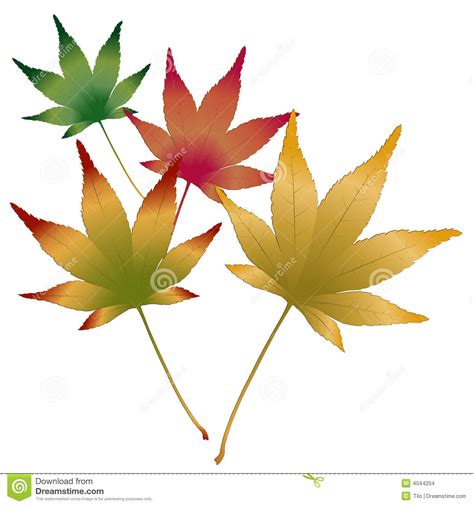 Japanese maples clipart 20 free Cliparts | Download images on ...