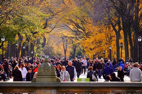 Thoughts From My Camera: Central Park Fall Colors