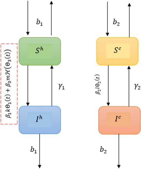 Dynamics diagram of Model (2). | Download Scientific Diagram