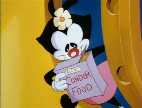 Animaniacs Season 1 Image | Fancaps