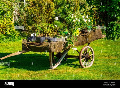 Rose de provins hi-res stock photography and images - Alamy