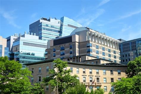 CC | An Inside Look Into Harvard Medical School