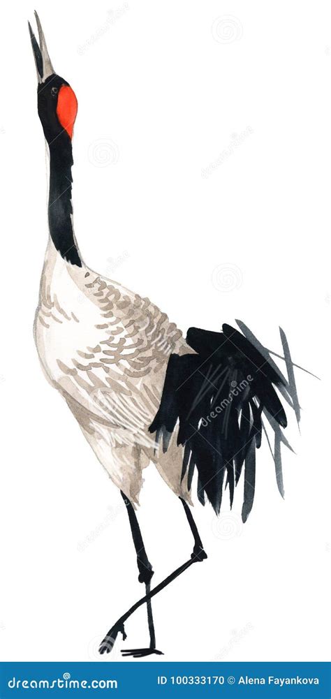 Watercolor crane bird stock illustration. Illustration of oriental - 100333170