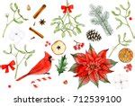 Red Poinsettia Flowers Clipart Free Stock Photo - Public Domain Pictures