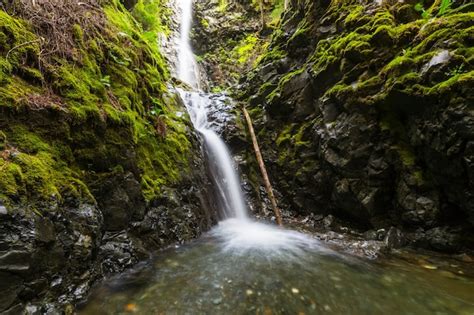 Premium Photo | Waterfall in canadian mountains