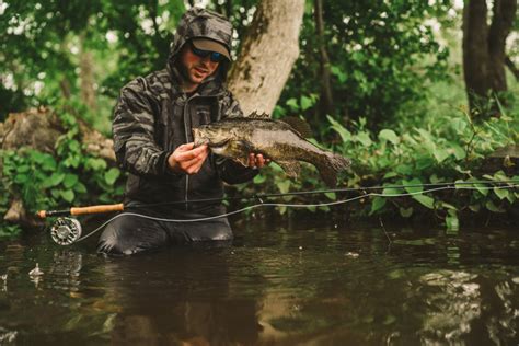 Fly Fishing for Smallmouth/Largemouth Bass: Your Complete Guide - Flylords Mag