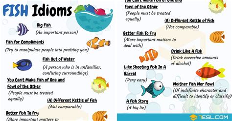 FISH Idioms: 18 Useful Fish Idioms and Phrases • 7ESL