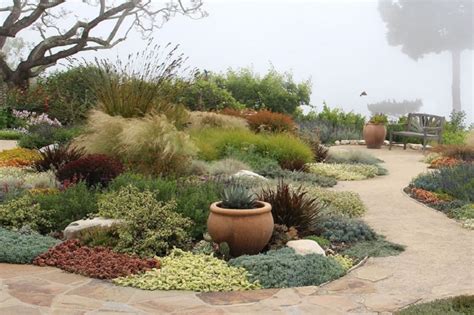 10 Tips For Landscape Design In Dry Areas – Magic City Gardening