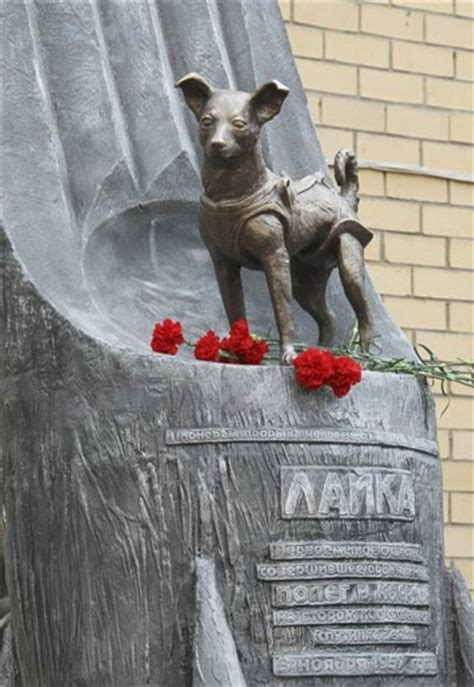 A New Monument for Laika, Russia's Heroic Space Dog - Telstar Logistics