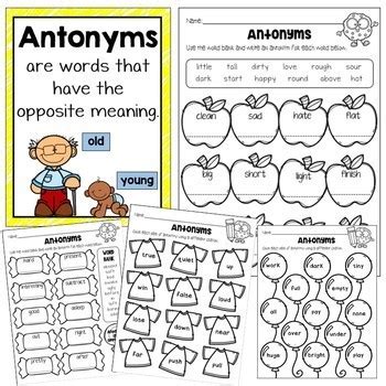 Antonyms by Megan Milko | TPT