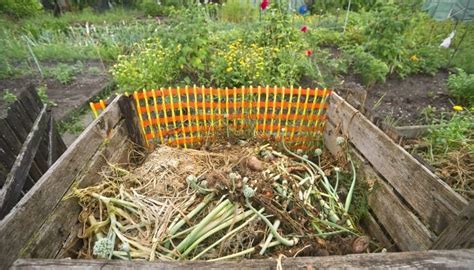 Cold Composting Basics: Process, Methods, Tips & More