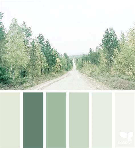 Image result for sage color palette | Kleurenpalet groen ...