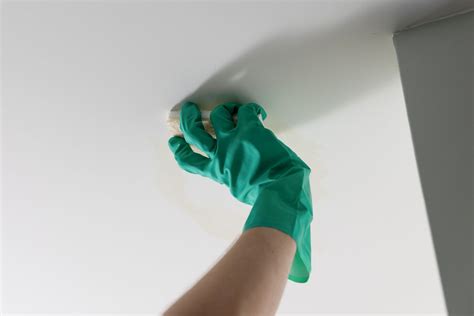 How to Remove Water Stains on a Ceiling