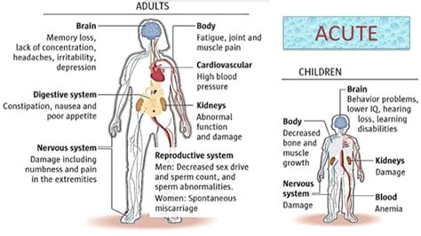 Heavy Metal Poisoning - Symptoms & Causes